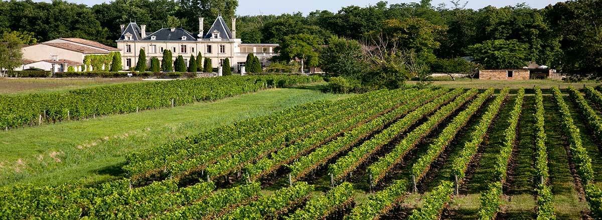 Chateau Meyre Avensan Dış mekan fotoğraf