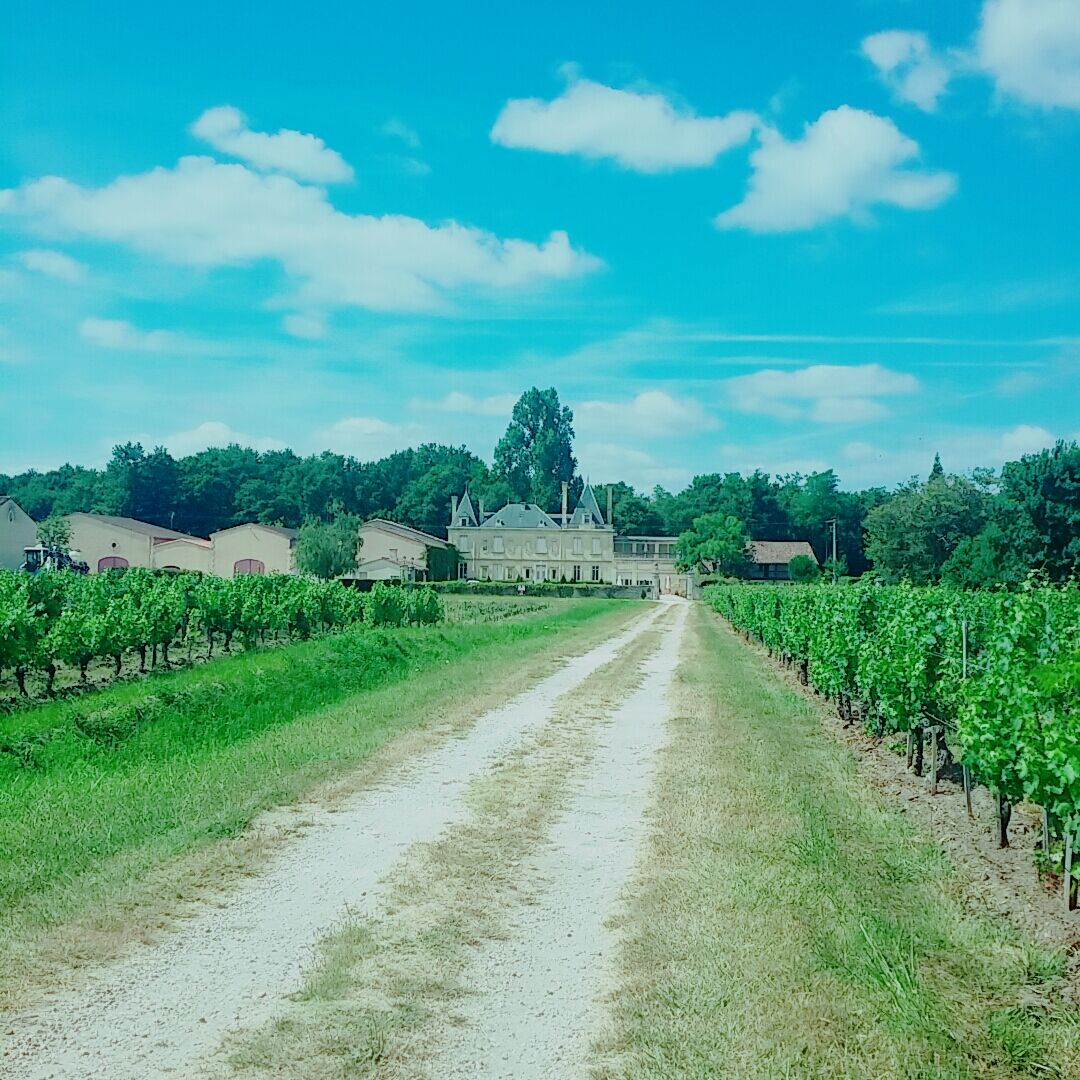 Chateau Meyre Avensan Dış mekan fotoğraf